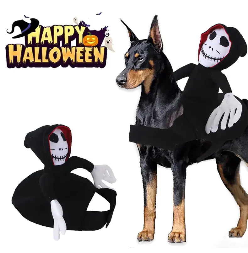 Funny Halloween Pet Costume with Spider Pumpkin Vest